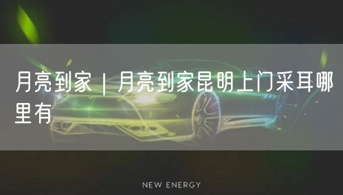 月亮到家｜月亮到家昆明上门采耳哪里有